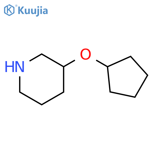 3-(cyclopentyloxy)piperidine structure