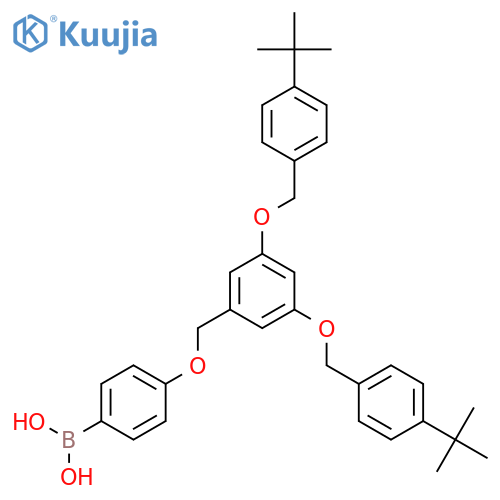 Boronic acid, B-[4-[[3,5-bis[[4-(1,1-dimethylethyl)phenyl]methoxy]phenyl]methoxy]phenyl]- structure