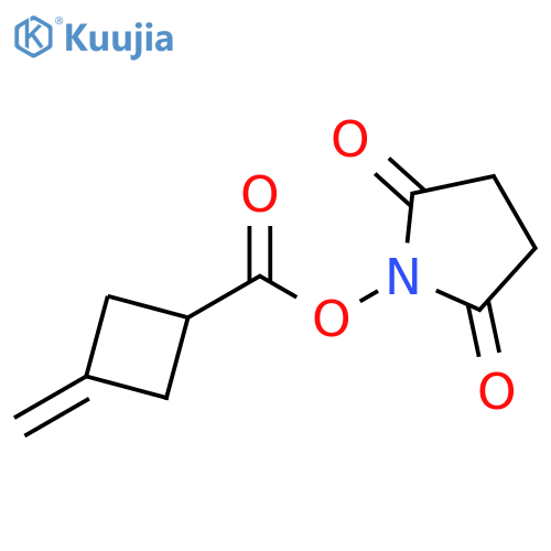 2,5-Dioxo-1-pyrrolidinyl 3-methylenecyclobutanecarboxylate structure