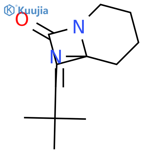 2,6-Diazatricyclo[4.4.0.01,4]dec-2-en-5-one, 3-(1,1-dimethylethyl)- structure