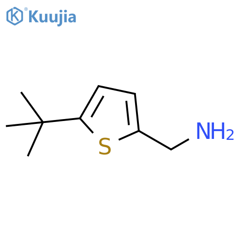 2-Thiophenemethanamine, 5-(1,1-dimethylethyl)- structure