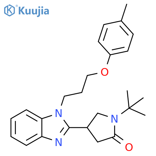 1-tert-butyl-4-{1-3-(4-methylphenoxy)propyl-1H-1,3-benzodiazol-2-yl}pyrrolidin-2-one structure