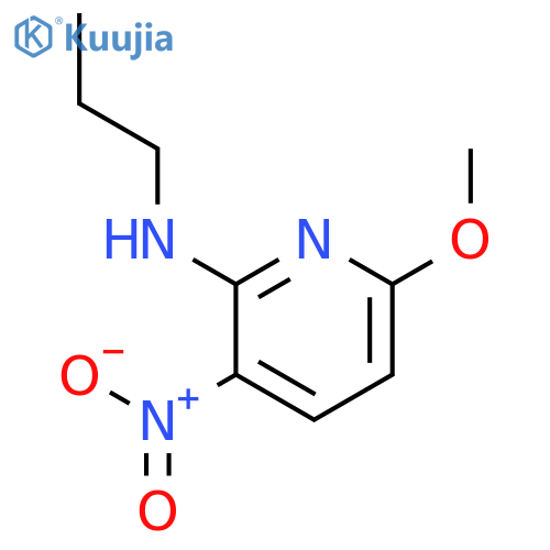 2-Pyridinamine,6-methoxy-3-nitro-N-propyl- structure