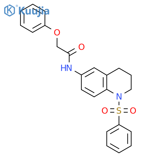 N-1-(benzenesulfonyl)-1,2,3,4-tetrahydroquinolin-6-yl-2-phenoxyacetamide structure