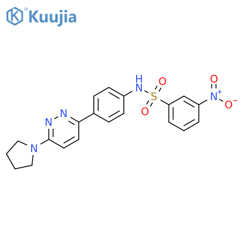 3-nitro-N-{4-6-(pyrrolidin-1-yl)pyridazin-3-ylphenyl}benzene-1-sulfonamide structure