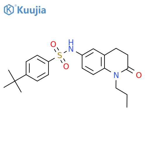 4-tert-butyl-N-(2-oxo-1-propyl-1,2,3,4-tetrahydroquinolin-6-yl)benzene-1-sulfonamide structure