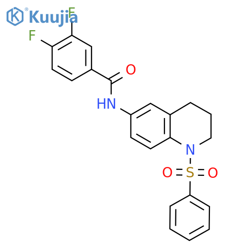 N-1-(benzenesulfonyl)-1,2,3,4-tetrahydroquinolin-6-yl-3,4-difluorobenzamide structure