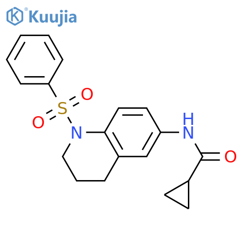 N-1-(benzenesulfonyl)-1,2,3,4-tetrahydroquinolin-6-ylcyclopropanecarboxamide structure