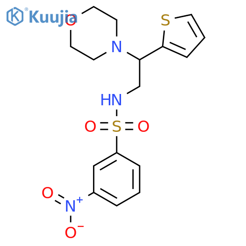 N-2-(morpholin-4-yl)-2-(thiophen-2-yl)ethyl-3-nitrobenzene-1-sulfonamide structure