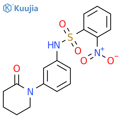 2-nitro-N-3-(2-oxopiperidin-1-yl)phenylbenzene-1-sulfonamide structure
