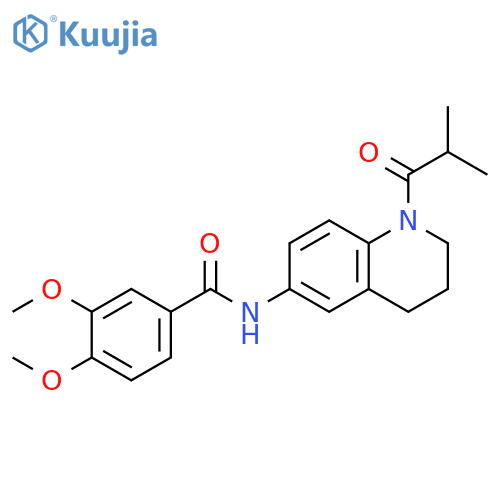 3,4-dimethoxy-N-1-(2-methylpropanoyl)-1,2,3,4-tetrahydroquinolin-6-ylbenzamide structure