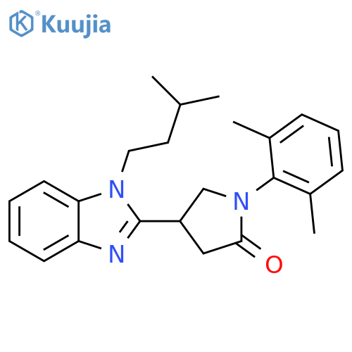 1-(2,6-dimethylphenyl)-4-1-(3-methylbutyl)-1H-1,3-benzodiazol-2-ylpyrrolidin-2-one structure