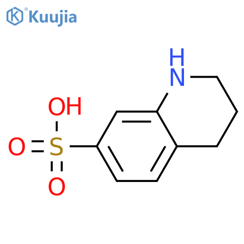 1,2,3,4-tetrahydroquinoline-7-sulfonic acid structure
