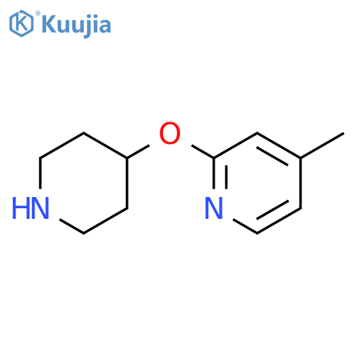 4-methyl-2-(piperidin-4-yloxy)pyridine structure