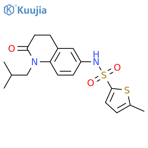 5-methyl-N-1-(2-methylpropyl)-2-oxo-1,2,3,4-tetrahydroquinolin-6-ylthiophene-2-sulfonamide structure