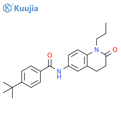 4-tert-butyl-N-(2-oxo-1-propyl-1,2,3,4-tetrahydroquinolin-6-yl)benzamide structure