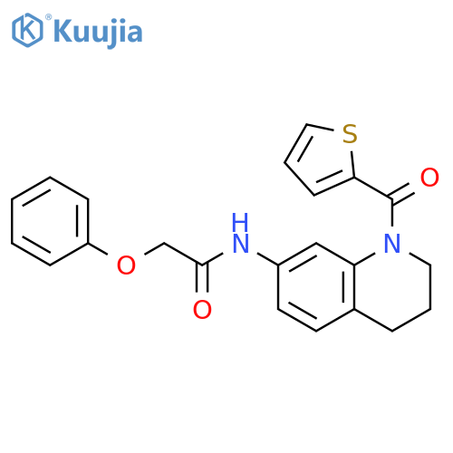 2-phenoxy-N-1-(thiophene-2-carbonyl)-1,2,3,4-tetrahydroquinolin-7-ylacetamide structure