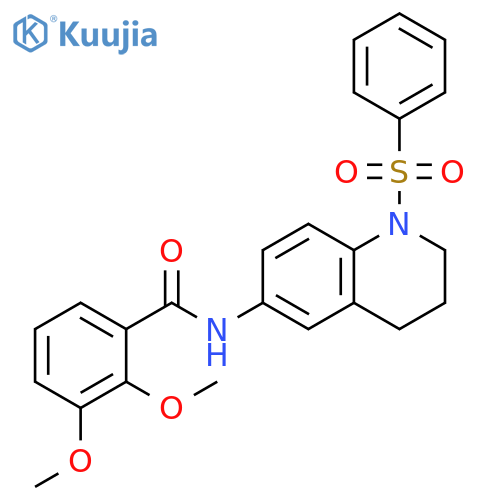 N-1-(benzenesulfonyl)-1,2,3,4-tetrahydroquinolin-6-yl-2,3-dimethoxybenzamide structure