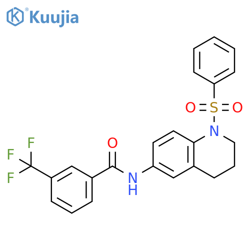 N-1-(benzenesulfonyl)-1,2,3,4-tetrahydroquinolin-6-yl-3-(trifluoromethyl)benzamide structure