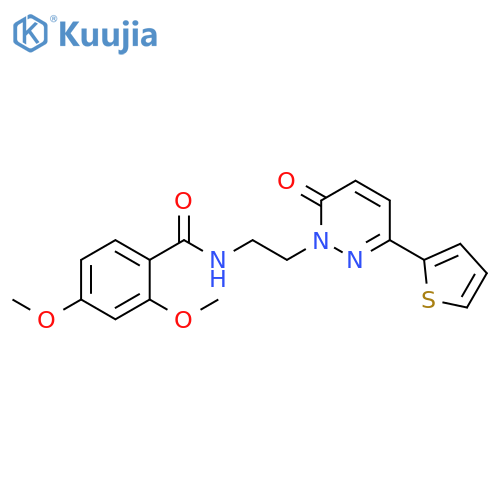 2,4-dimethoxy-N-{2-6-oxo-3-(thiophen-2-yl)-1,6-dihydropyridazin-1-ylethyl}benzamide structure