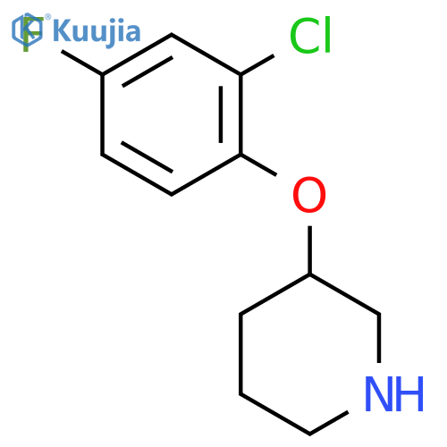 3-(2-Chloro-4-fluorophenoxy)piperidine structure
