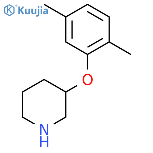 3-(2,5-Dimethylphenoxy)piperidine structure