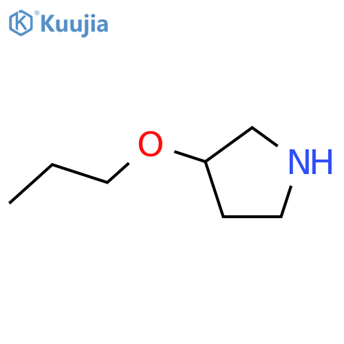 3-Propoxypyrrolidine structure
