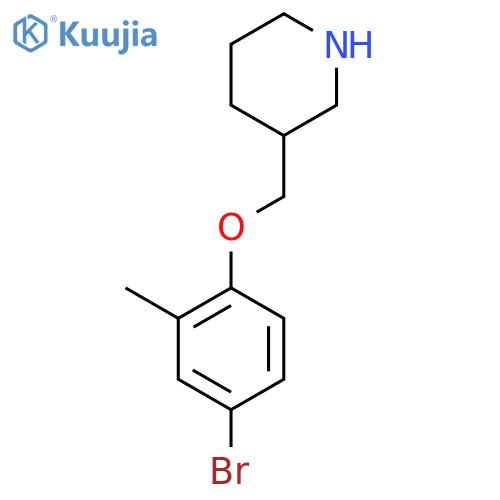 3-[(4-Bromo-2-methylphenoxy)methyl]piperidine structure