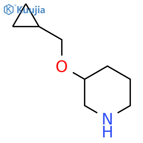 3-(cyclopropylmethoxy)piperidine structure