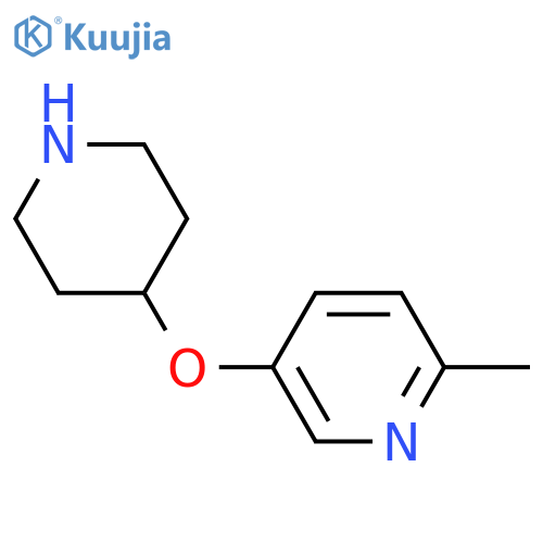 2-methyl-5-(piperidin-4-yloxy)pyridine structure
