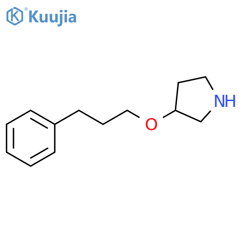 3-(3-phenylpropoxy)pyrrolidine structure