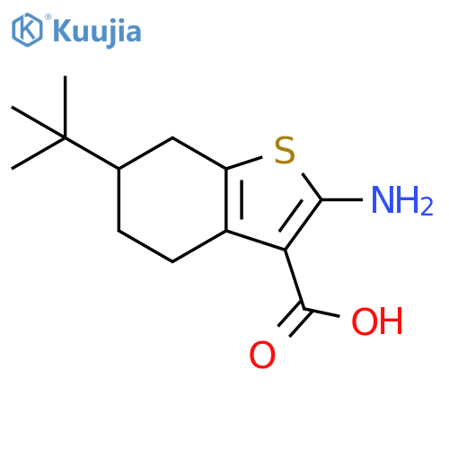 2-amino-6-tert-butyl-4,5,6,7-tetrahydrobenzo[b]thiophene-3-carboxylic acid structure