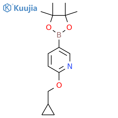 2-(Cyclopropylmethoxy)-5-(4,4,5,5-tetramethyl-1,3,2-dioxaborolan-2-yl)pyridine structure