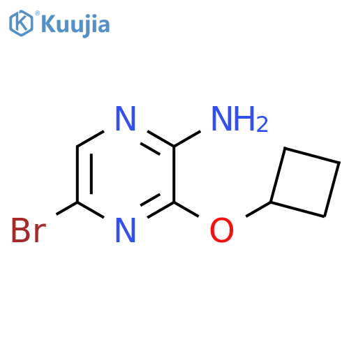 5-bromo-3-cyclobutoxypyrazin-2-amine structure