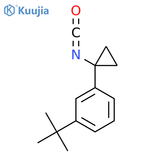 1-tert-Butyl-3-(1-isocyanato-cyclopropyl)-benzene structure