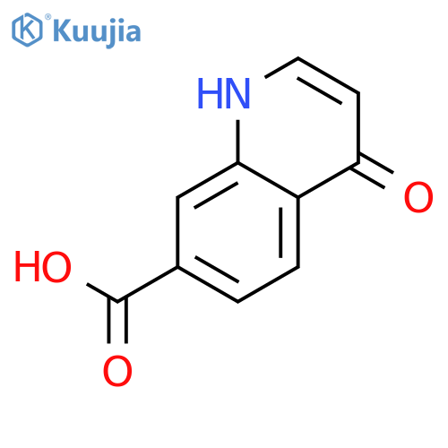 4-Oxo-1,4-dihydroquinoline-7-carboxylic acid structure