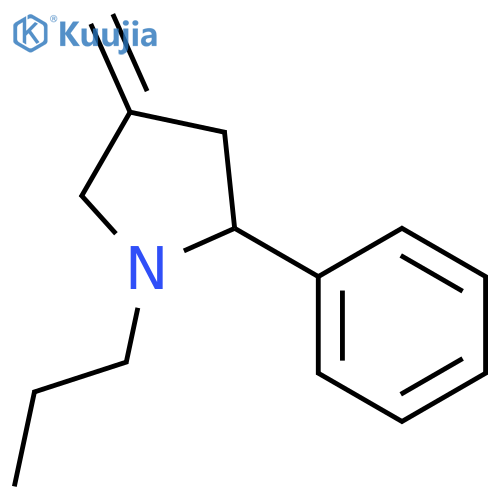 Pyrrolidine, 4-methylene-2-phenyl-1-propyl- structure
