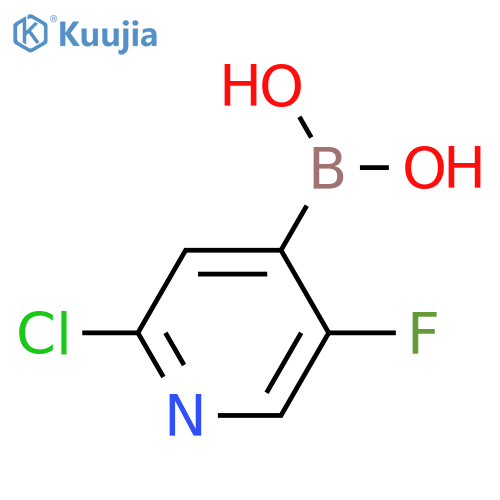 (2-chloro-5-fluoropyridin-4-yl)boronic acid structure