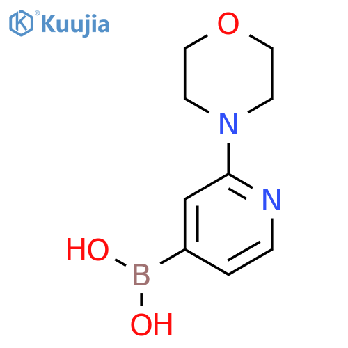 2-Morpholinopyridine-4-boronic Acid structure