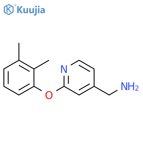 2-(2,3-Dimethylphenoxy)pyridin-4-ylmethanamine structure