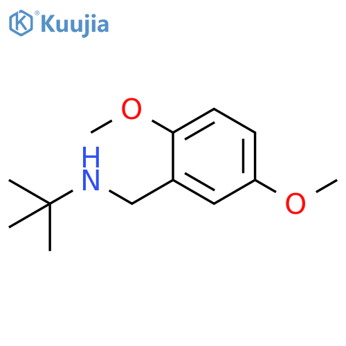 tert-butyl(2,5-dimethoxyphenyl)methylamine structure