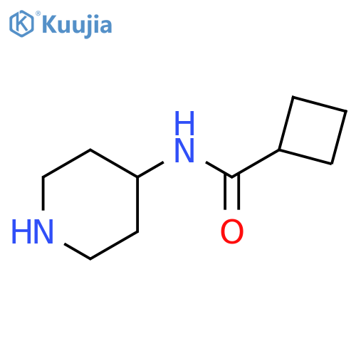 N-(piperidin-4-yl)cyclobutanecarboxamide structure