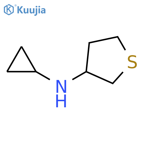 N-Cyclopropyltetrahydrothiophen-3-amine structure