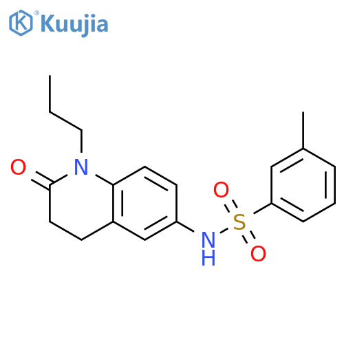 3-methyl-N-(2-oxo-1-propyl-1,2,3,4-tetrahydroquinolin-6-yl)benzene-1-sulfonamide structure