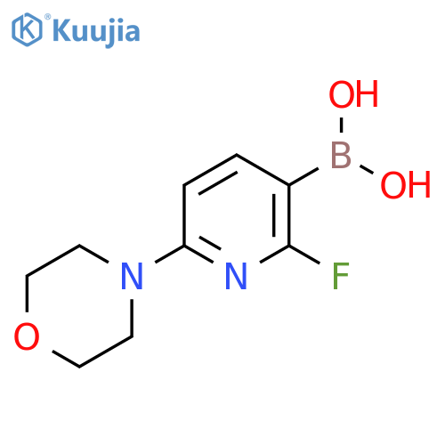 [2-fluoro-6-(morpholin-4-yl)pyridin-3-yl]boronic acid structure