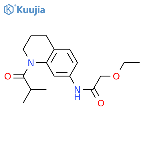 2-ethoxy-N-1-(2-methylpropanoyl)-1,2,3,4-tetrahydroquinolin-7-ylacetamide structure