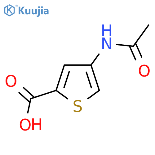 4-Acetamidothiophene-2-carboxylic acid structure