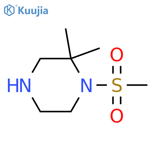 1-methanesulfonyl-2,2-dimethylpiperazine structure