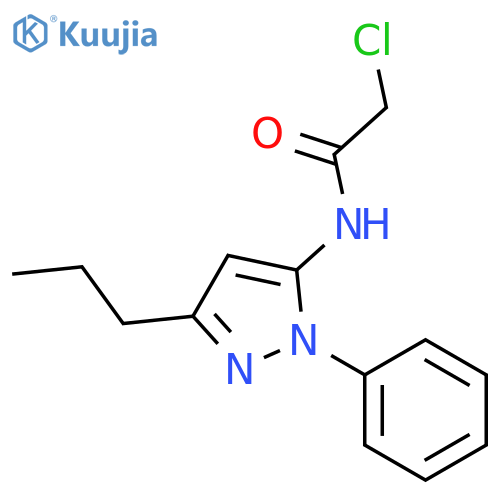 2-chloro-N-(1-phenyl-3-propyl-1H-pyrazol-5-yl)acetamide structure