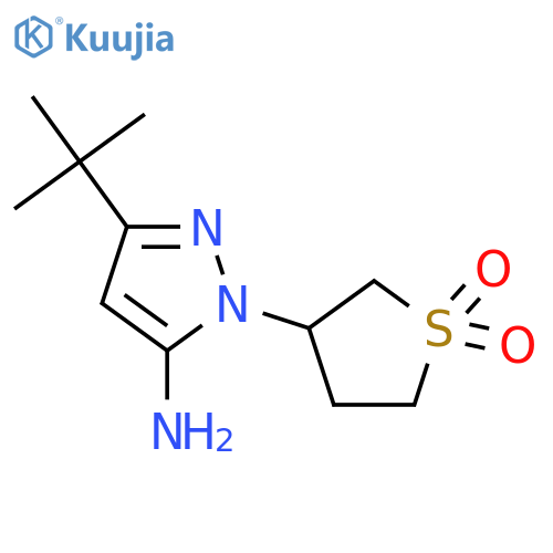 3-(5-amino-3-tert-butyl-1H-pyrazol-1-yl)-1λ?-thiolane-1,1-dione structure